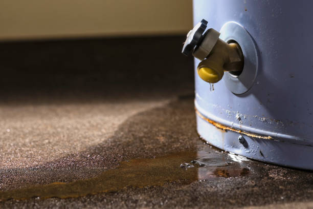 Best Flood damage cleanup  in Pepper Pike, OH