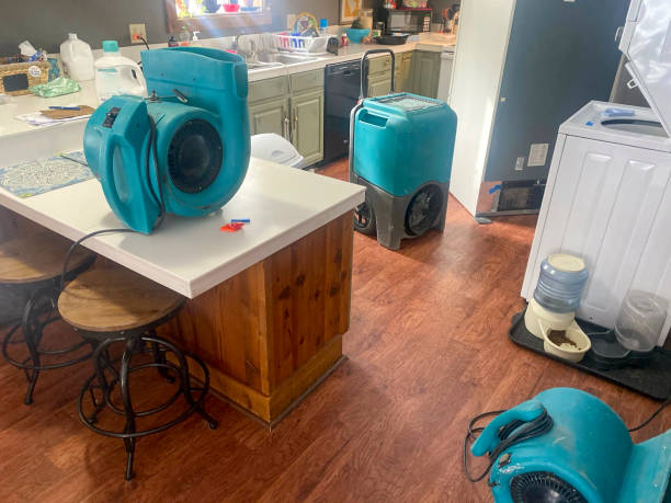 Best Flood damage cleanup  in Pepper Pike, OH