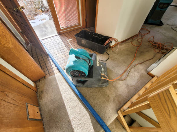 Local water damage restoration in OH