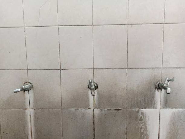 Best 24-hour water damage restoration  in Pepper Pike, OH