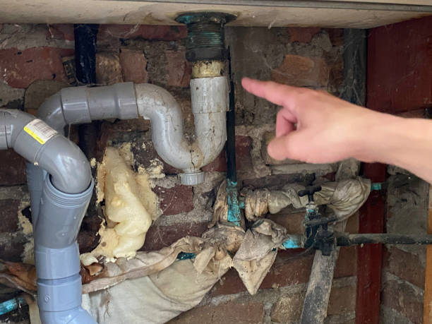 Best Water damage cleanup near me  in Pepper Pike, OH