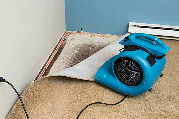 Best Water damage restoration near me  in Pepper Pike, OH